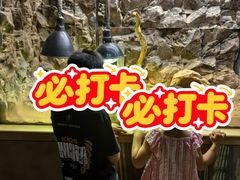 -广州长隆飞鸟乐园