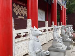 -皇罗禅寺