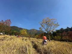 -塔川景区