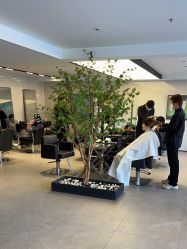 -付军剪艺JF ProSalon