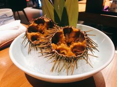 -渔寿司·日本料理(艾尚天地店)