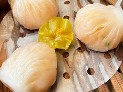 招牌虾皇饺-点都德(聚福楼店)