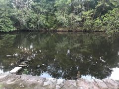 -天台山赤城山景区