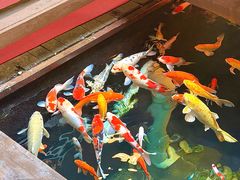 -石涧故事·私房菜(紫云路店)