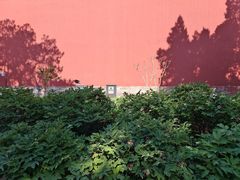 -北京市劳动人民文化宫(太庙)