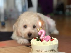 -味多美蛋糕(潘家园店)