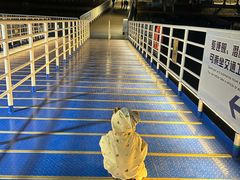 -泰达航母主题公园