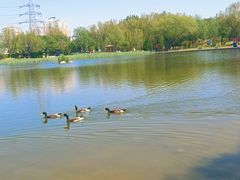-太阳宫公园