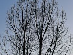 -终南山南五台景区