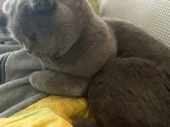 -蜜雪冰城(武进区吾悦店)