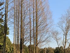 -新洲生态园