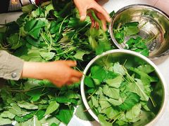 -丹东市五龙山风景区