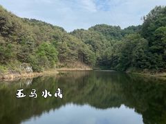 -南山植物园