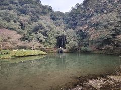 -东航云逸酒店(九溪烟树店)