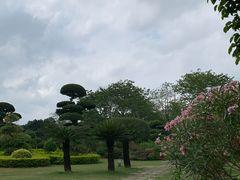 -南宁南湖公园