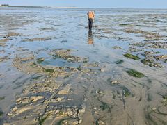 -北海金海湾红树林生态旅游区