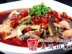 -老酒川菜坊(总店)