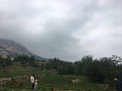 -崂山仰口游览区