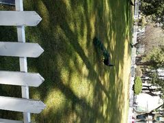 android_upload_pic-西昌邛海宾馆