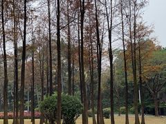 -晓港公园