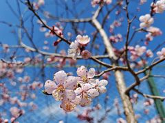 -吉林大学(南岭校区)