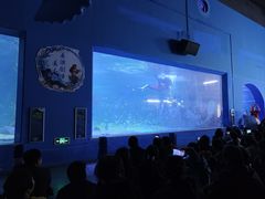 -常州海昌海洋探索馆