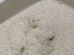 -天宠宠物医院24小时·急重症诊疗中心·全科·腔镜特色(和平分院)