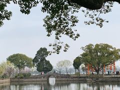 -无锡蠡湖国家湿地公园-蠡园