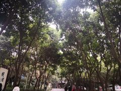 -巴山一绝烤全羊(三圣乡刘家花园店)