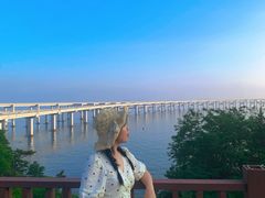 -星海湾跨海大桥