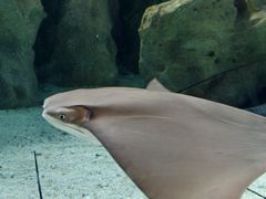 -珠海长隆海洋王国