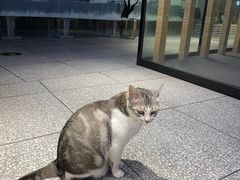 -谜盒子奇幻密室(南屏店)