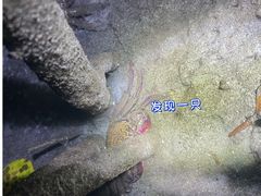 -月亮湾