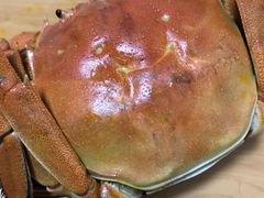 -小陆莲花蟹园农家乐(莲花岛店)