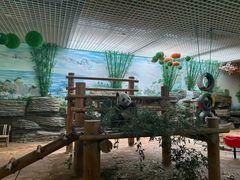 -西霞口神雕山野生动物世界