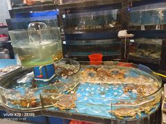 -一麦·龙岛(上海青浦店)