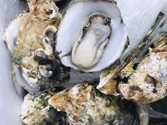 -蚝哥花姐湛江烤生蚝(美丽湾市场店)