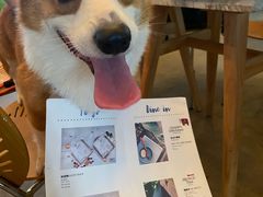 -The Rug Cafe(王府中环店)