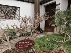 -上海醉白池公园