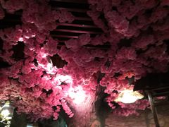 -金水鹤温泉国际酒店