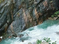 -广州白江湖森林公园