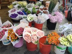 -循礼门鲜花花市(武汉循礼门店)