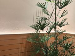 -潮界(LU·ONE凯德晶萃广场店)