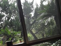-万景茶庄·台州菜