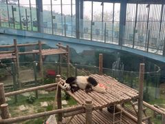 -大连森林动物园