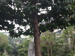 -广州神农草堂中医药博物馆