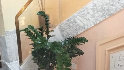 -头道汤·茜曼缇娜