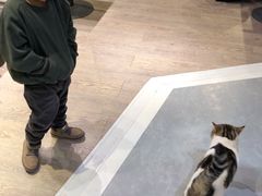 -小时光咖啡馆(开森度假森林店)