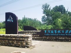 -翠湖国家城市湿地公园