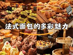 -B&C黄油与面包·THE GARDEN BAKERY概念店(世纪汇店)